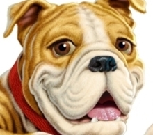 20121012170817-headshot