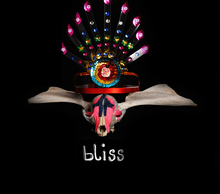 20130131101313-blisstotenkopf